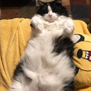 Meet your Posher, Amanda